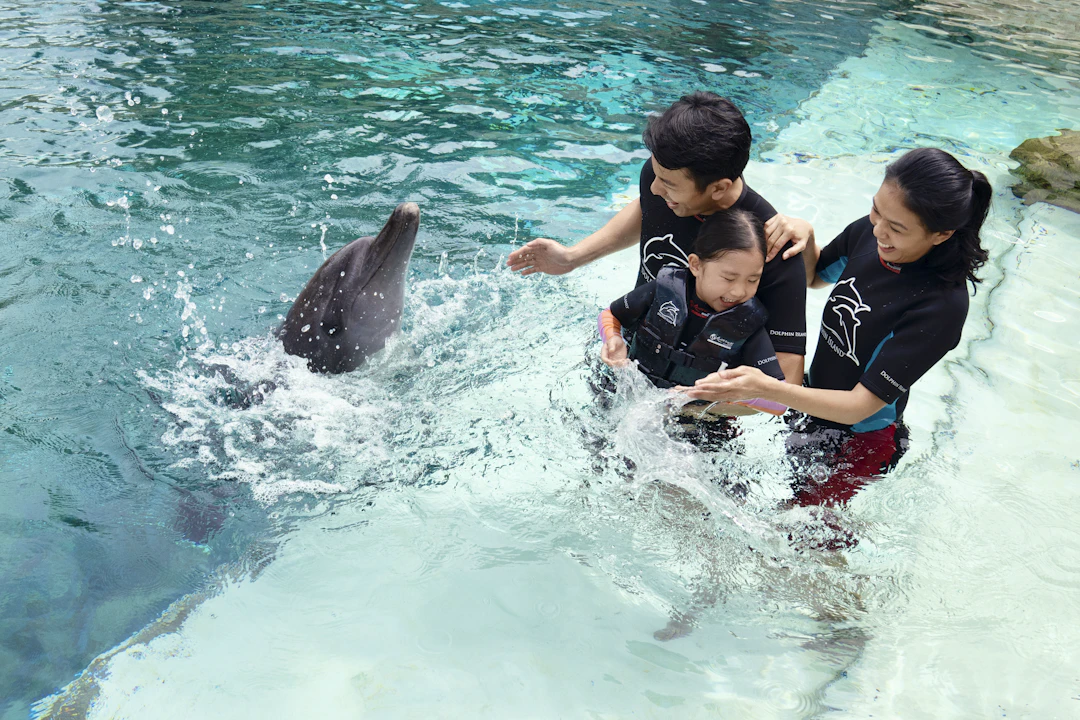 Dolphin Island Singapore Tickets Price